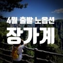 데이제로컴퍼니