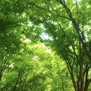 산본제일의원 이미지