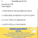 퍼피 앤 퍼피(PUPPY & PUPPY) 이미지