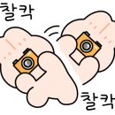 가사문학초등학교 이미지