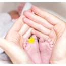 베베산모도우미 이미지