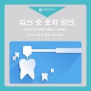 동탄역 서울포인트치과 임신 중 충치 치료받을 수 있나요