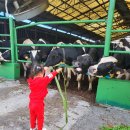 후사랑밀크(환희목장) 이미지