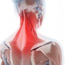 365단골한의원 이미지