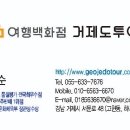 여행백화점 거제도투어
