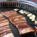 최가네마을 이미지