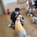 임실 청웅초등학교 이미지