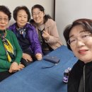 활터골경로당 Daum카페