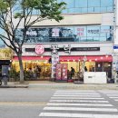 목포식탕탕이 | 목포 꽃낙 낙지탕탕이 솔직후기｜소낙탕탕이부터 연포탕까지 제대로 먹고 온 찐맛집