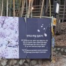 숲속에 있는 카페 만덕고개길436 봄에 가기 좋은 곳