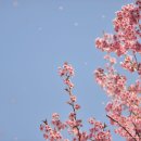 부산배화학교 이미지