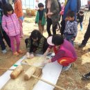 수완농장 이미지