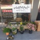 서라벌떡집 이미지