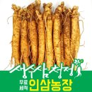 금산고려인삼도매 | 금산인삼의 효능, 세계중요농업유산 등재