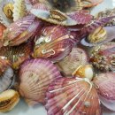 통큰 푸드 이미지