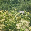 리베볼(liebevoll) 이미지