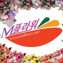 남해추모누리묘지 이미지