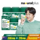 하이초도 이미지