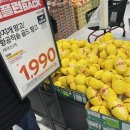 홈플러스 홈플런 전단지 추천템 할인정보 코스트코비교