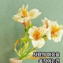 (펌)치매는 인간의 본질을... 이미지