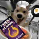 책책책 | 책책책