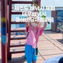 올레바당체험마을 | 제주도배낚시 멀미 걱정 없는 정박된 테우배 올레바당체험마을 낚시체험