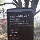 대전사기점