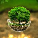 사주명리학 이미지