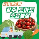[광주] 전라도 광주 토마토 호윤농장 상품 종류 및 특징 (6시 내고향 3.4)