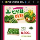 빅팜식자재마트