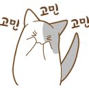 쌍따봉 닭도리 이미지