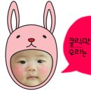 리아기프트