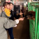 풀잎목장 이미지