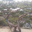 산책길-1 이미지