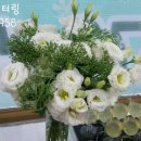 입실렌티영어전문학원