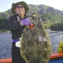 광어한마리 이미지