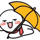 팔포실비
