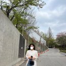 30대 여자 데일리룩 쇼핑몰 추천 먼데이 위캔드 내돈내산 후기
