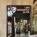 소고1리미술교실 | 발리 우붓 요가원/요가수업 비교 정리 (알케미/RA/인트위티브/요가반)