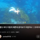 별이안은바다 민박 | 울릉도 :: 프리다이빙 투어 Day1 (쪼리오 투어/거북바위/신비섬횟집 물회)