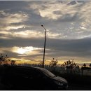 LBA현지공인중개사사무소 | 배곧한라비발디 생활 꿀팁부터 배곧한울부동산 상담 후기까지, 현지 거주자의 리얼 스토리 🌊🌳