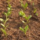 산마늘펜션 이미지