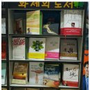 도서출판 마에스트로