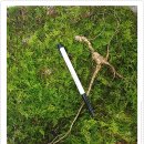 횡성 수농장 이미지