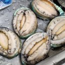 유한회사 신선