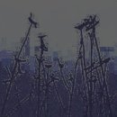 나그네길 이미지