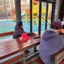 개나리어린이공원 체육시설