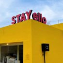 죽전 카페 스테이엘로 / 수제쿠키가 맛있는 스테이엘로 STAY ELLO