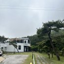 연다원 | 고창 녹차밭 대형카페 연다원 내돈내산 방문후기
