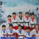 백호 태권도 이미지